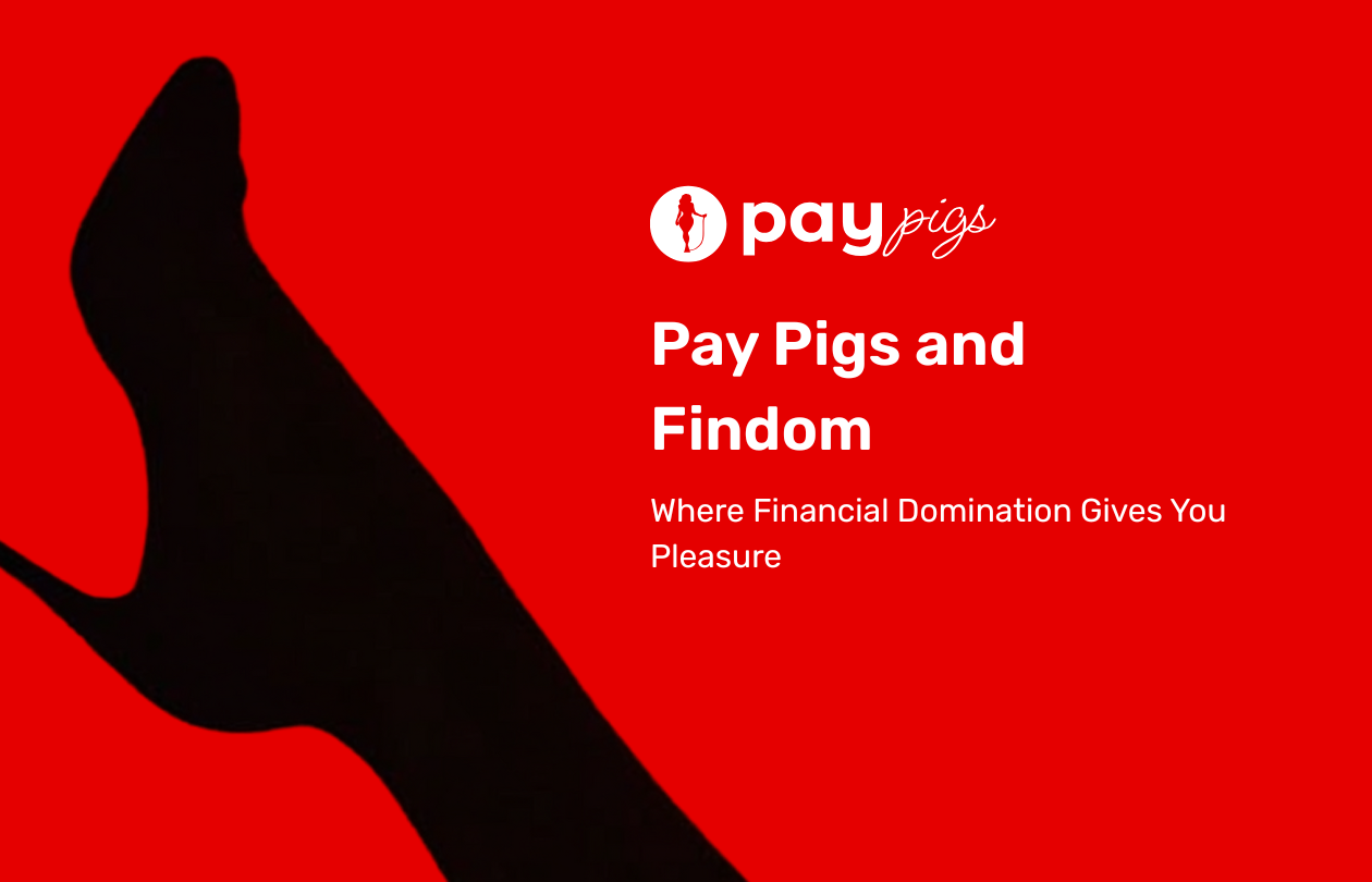 Pay Pigs and Findom: Where Financial Domination Gives You Pleasure