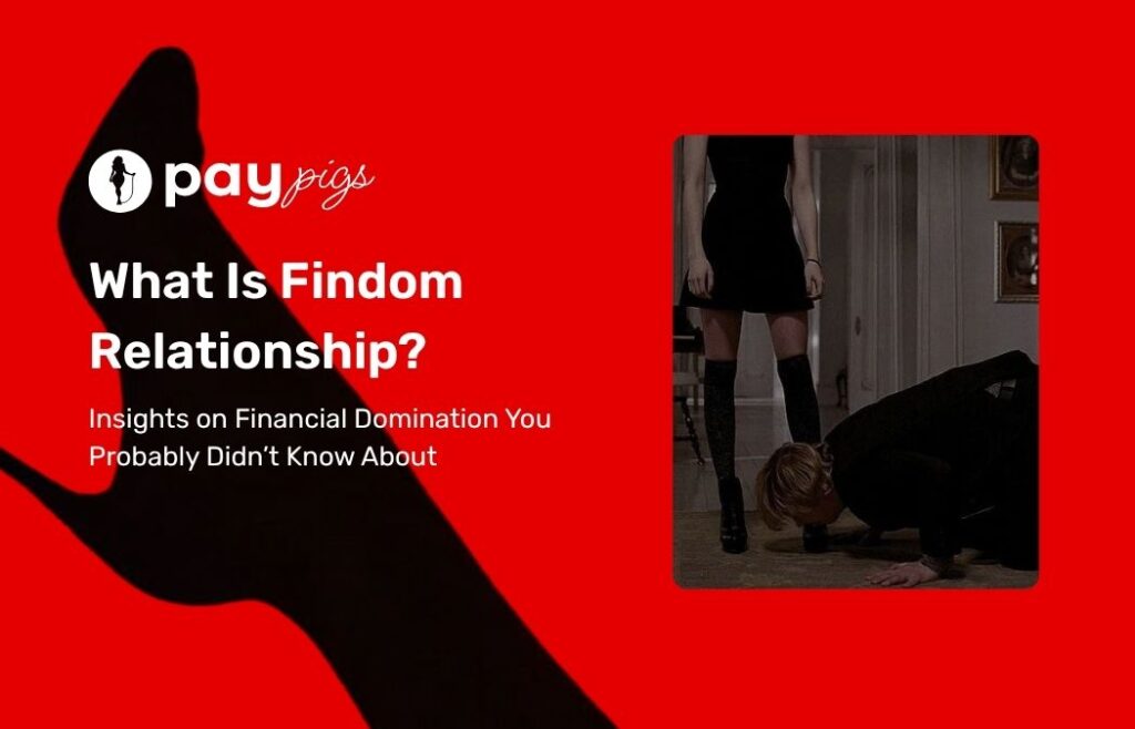 What Is Findom Relationship? Insights on Financial Domination You Probably Didn’t Know About